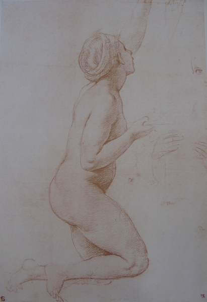 Study from the nude